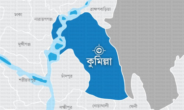 ব্রাহ্মণপাড়ায় কিস্তিতে কেনা কৃষকের ৫ গরুকে বিষ খাইয়ে মেরে ফেলল দুর্বৃত্তরা