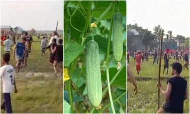 ব্রাহ্মণবাড়িয়ায় শসা নিয়ে সংঘর্ষ, আহত অন্তত ২০