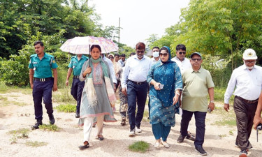 দ্রুতই পূর্বাচলে বনাঞ্চলের সীমানা চিহ্নিত করা হবে :  রিজওয়ানা