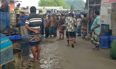 ২ ঘণ্টায় ২৫ লাখ টাকার মাছ বিক্রি হয় যে বাজারে