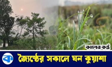 তীব্র গরমে উল্টো চিত্র, ঘন কুয়াশা দেখে অবাক জনতা