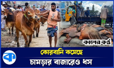 গত বছরের তুলনায় কোরবানি কম হয়েছে ১২ লাখ ৭০ হাজার