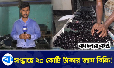 জামের রাজ্য! সপ্তাহে বিক্রি ২০ কোটি টাকার ফল