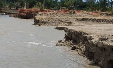 মেঘনা নদীর ভাঙন, পদক্ষেপ না নেওয়ায় উপদেষ্টাদের ওপর ক্ষুব্ধ জনতা
