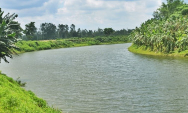 গাইবান্ধায় নিখোঁজের এক দিন পর মিলল বৃদ্ধের ভাসমান মরদেহ