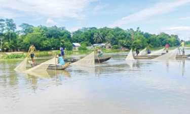 হালদা নদীর খালে কোরবানির পশুর চামড়া, পরিবেশ অধিদপ্তরের মামলা
