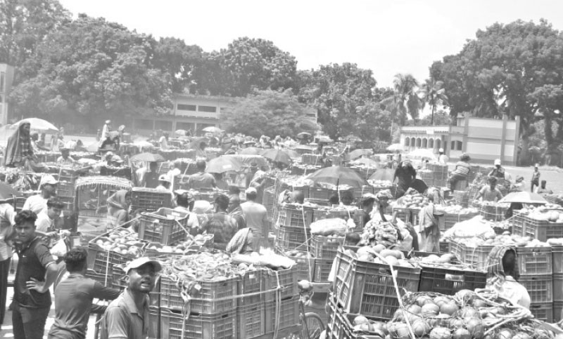 আমের তুলনায় ক্রেতার সংখ্যা কম