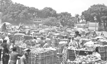 আমের তুলনায় ক্রেতার সংখ্যা কম