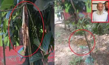 বিএনপি নেতা কুদ্দুসের কর্মকাণ্ডে অতিষ্ঠ এলাকাবাসী, ছাড় পায়নি বড় ভাইয়ের পরিবারও
