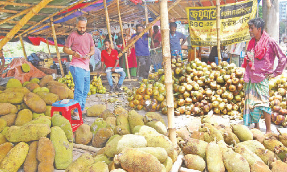 মৌসুমি ফলের বাহার