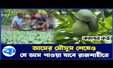 আমের রাজধানী : শেষের পথে খিরসা, বাজারে এসেছে ল্যাংড়া