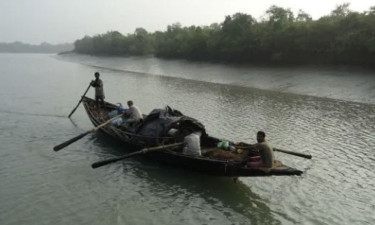 সুন্দরবনে অবাধে চলছে মাছ ও কাঁকড়া আহরণ