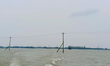 পল্লী বিদ্যুতের খোলা তার হাওরাঞ্চলের মারণফাঁদ