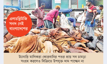চীননির্ভর চামড়ার বাজার যাচ্ছে না অন্য দেশে