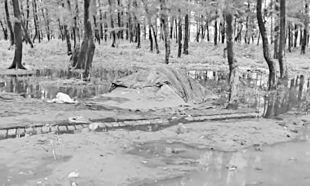 পাহাড়-ঝাউবীথি কাটায় ঝুঁকিতে মেরিন ড্রাইভ