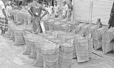 পিরোজপুরে জমে উঠেছে শতবর্ষী চাঁইয়ের হাট