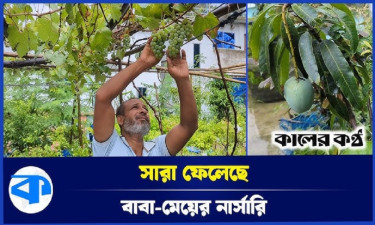 গাড়িচালক থেকে সফল নার্সারি উদ্যেক্তা শাহিন