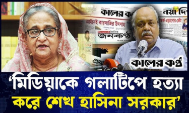 নির্বাচিত সরকার যেন সংবাদপত্রের স্বাধীনতা নিশ্চিত করে: হাসান হাফিজ