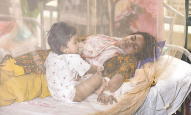 করোনায় এক মৃত্যু, শনাক্ত ২৫ নতুন ডেঙ্গু রোগী ২৩৪ জন