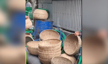 প্লাস্টিকের পেটে বাঁশশিল্প, মোরেলগঞ্জের কারিগররা ভালো নেই