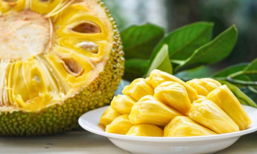 ডায়াবেটিক রোগীরা কি কাঁঠাল খেতে পারবেন?