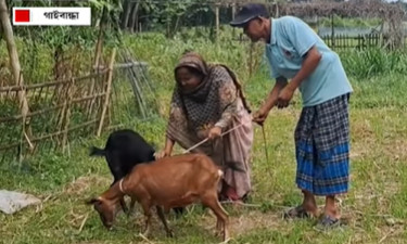 সাইকেল চালিয়ে ঢাকা থেকে গাইবান্ধা যাওয়া সেই রাজু পাচ্ছেন সহযোগিতা
