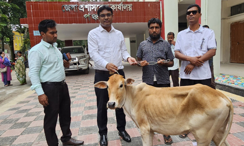 ২৩ বছর কারাভোগের পর মাজেত পেলেন গরু