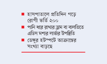 অব্যবস্থাপনায় বরগুনায় ডেঙ্গুর ভয়াবহ বিস্তার