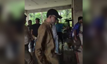 ফরেন সার্ভিস একাডেমিতে উপদেষ্টা ফারুকী