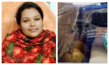 হাসপাতালের কাঁঠাল নিলেন স্বাস্থ্য কর্মকর্তা, প্রতিবাদ করায় অফিস সহায়ককে বদলি