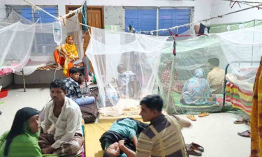 বরগুনায় বাড়ছে ডেঙ্গুর প্রকোপ