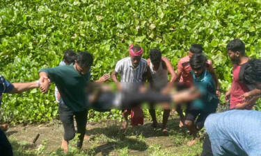 ব্রাহ্মণবাড়িয়ায় বিল থেকে যুবকের গলাকাটা মরদেহ উদ্ধার