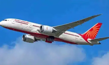এয়ার ইন্ডিয়ার উড়োজাহাজে পাখির ধাক্কা, ফিরতি ফ্লাইট বাতিল