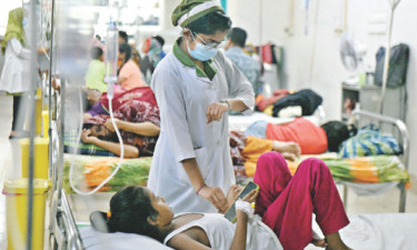 ডেঙ্গু হলে করণীয়