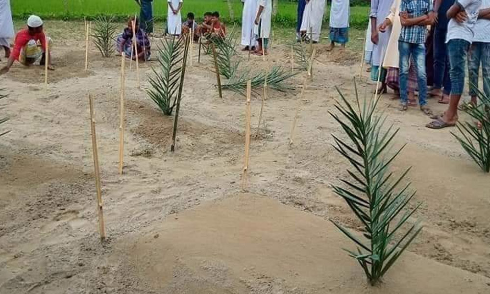 কবরে খেজুরের ডাল গাড়ার বিধান কী?