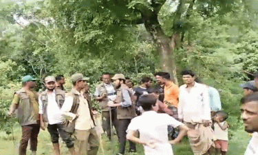 বনে অবৈধ স্থাপনা উচ্ছেদকালে গৃহবধূর বিষপান, অতঃপর...