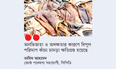 ক্ষতের কারণে কোরবানির চামড়ার দাম কমেছে ৪৫%