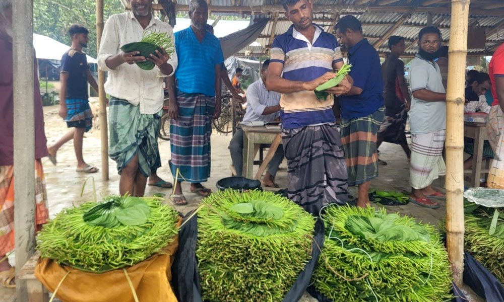 দুর্গাপুরে পান বিক্রি করে উঠছে না খরচ, দুশ্চিন্তায় পান চাষিরা