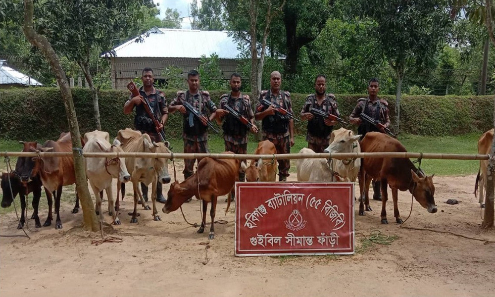 হবিগঞ্জ সীমান্তে ৫ দিনে কোটি টাকার চোরাচালান জব্দ
