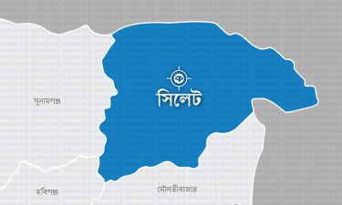 সিলেট সীমান্ত দিয়ে আরো ১৯ জনকে ঠেলে দিল বিএসএফ