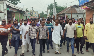 সরিষাবাড়ীতে যুবদলের কমিটি বাতিলের দাবিতে বিক্ষোভ মিছিল