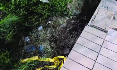 এবার ঢাকা বিশ্ববিদ্যালয় এলাকায় ককটেল নিক্ষেপ