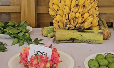 দেশি ফলের কদর বাড়াতে ফল মেলার আয়োজন