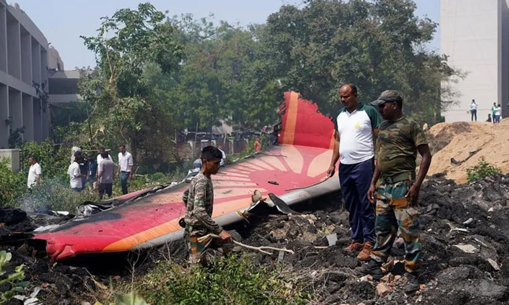 Eshakning ichida nima bor (foto)