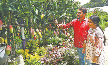 বৃক্ষের নাম তুড়কচণ্ডাল