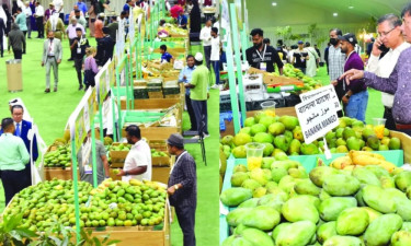 কাতারে প্রথম বাংলাদেশি আম উৎসব শুরু