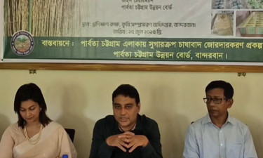 পাহাড়ে তামাক চাষের বিকল্প হতে পারে আখ চাষ