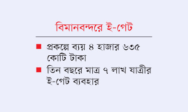ইমিগ্রেশনে পুরনো সেই দুর্ভোগ