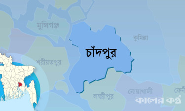 চাঁদপুরের হাজীগঞ্জে শিয়ালের আক্রমণে আহত ১০