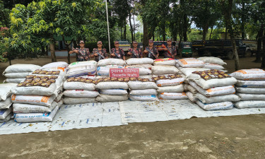 বিশ্বম্ভরপুরে ট্রাকসহ জব্দ ৫৪ লাখ টাকার ভারতীয় ফুচকা